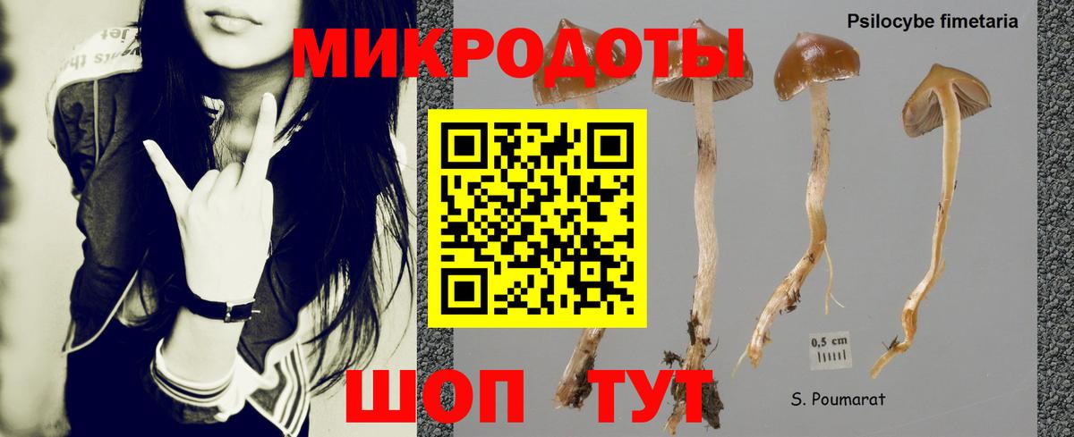 Вольск  хочу   Вход с VPN  Псилоцибиновые грибы прущие грибы  Псилоцибиновые грибы Psilocybine cubensis 